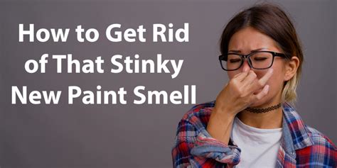 How to Get Rid of Paint Smell Fast: Tips and Strategies for a Quick Fix